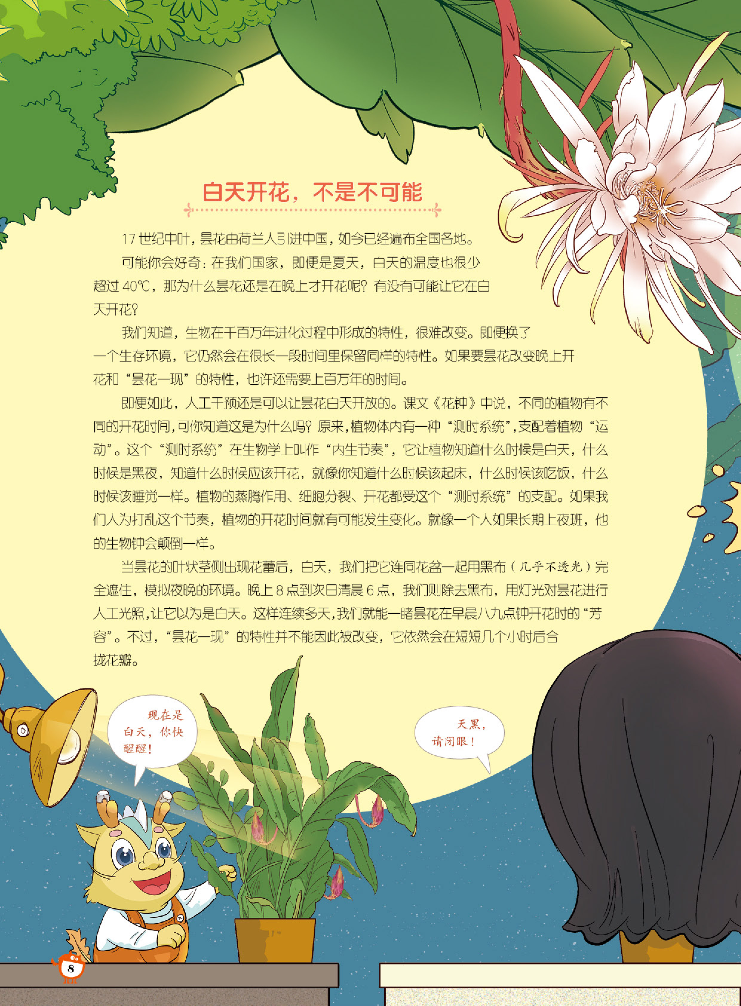 白天开花,特性,花瓣 白天开花,特性,花瓣