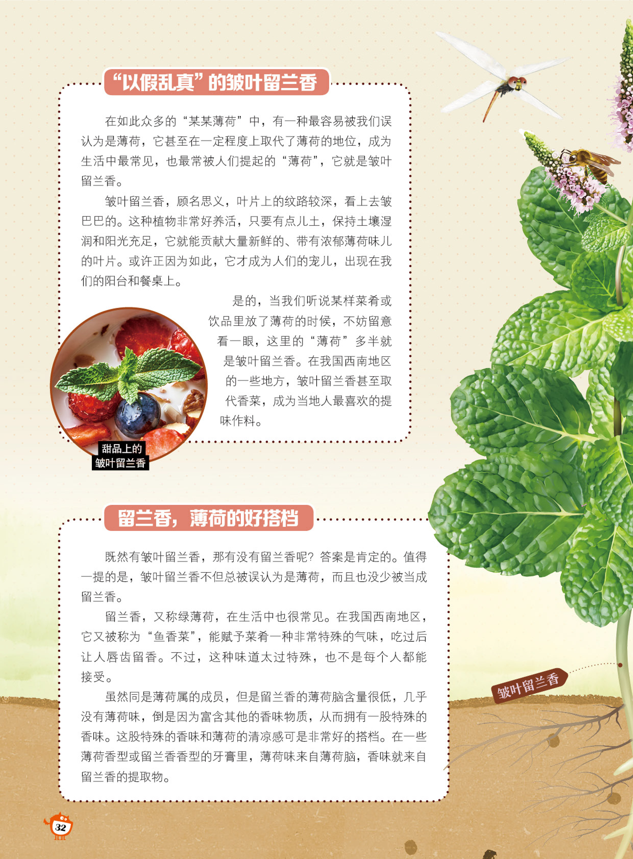 以假乱真,留兰香,好搭档 以假乱真,留兰香,好搭档