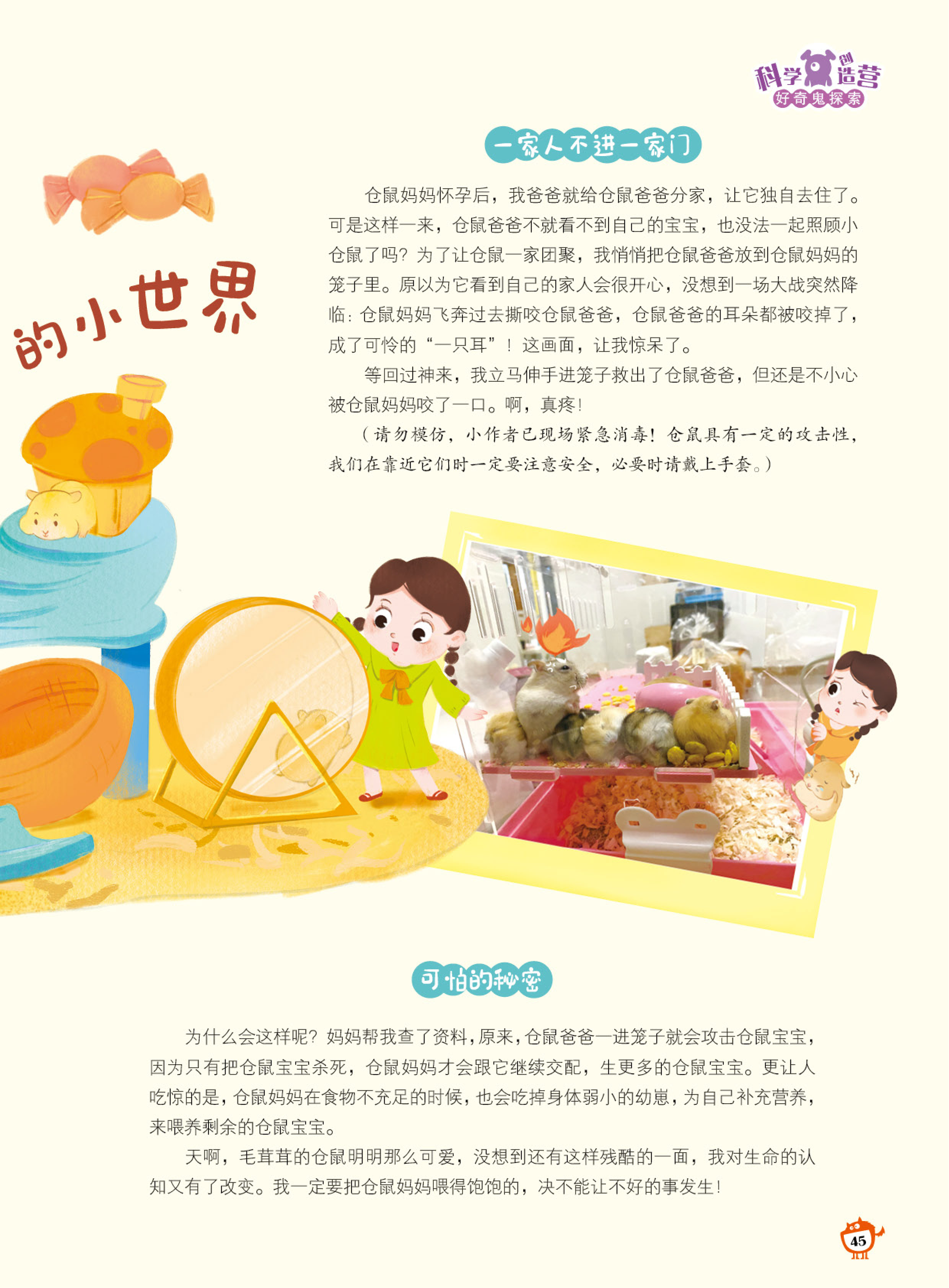 小世界,分家,耳朵 小世界,分家,耳朵