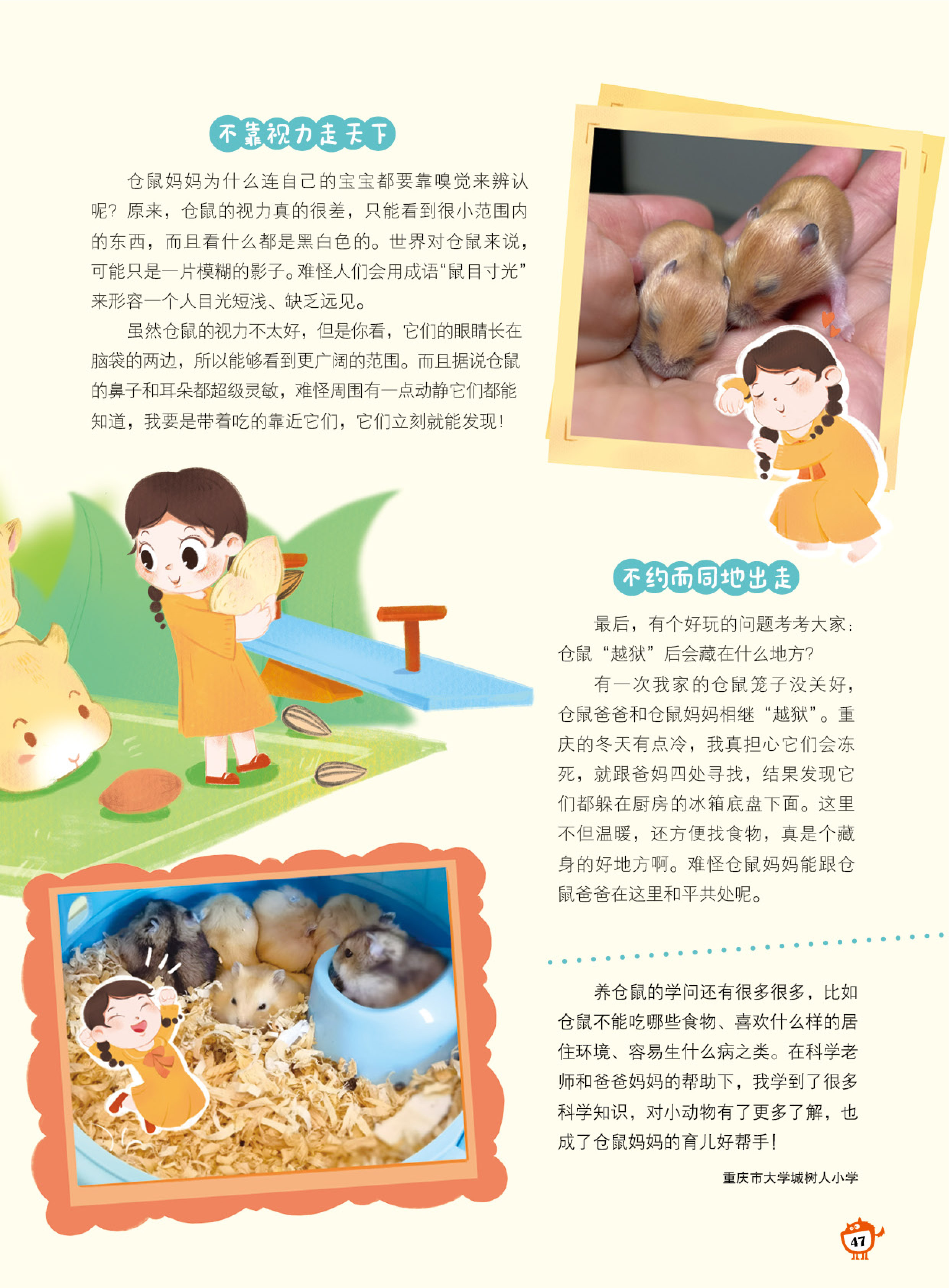 视力,出生,学问,育儿 视力,出生,学问,育儿