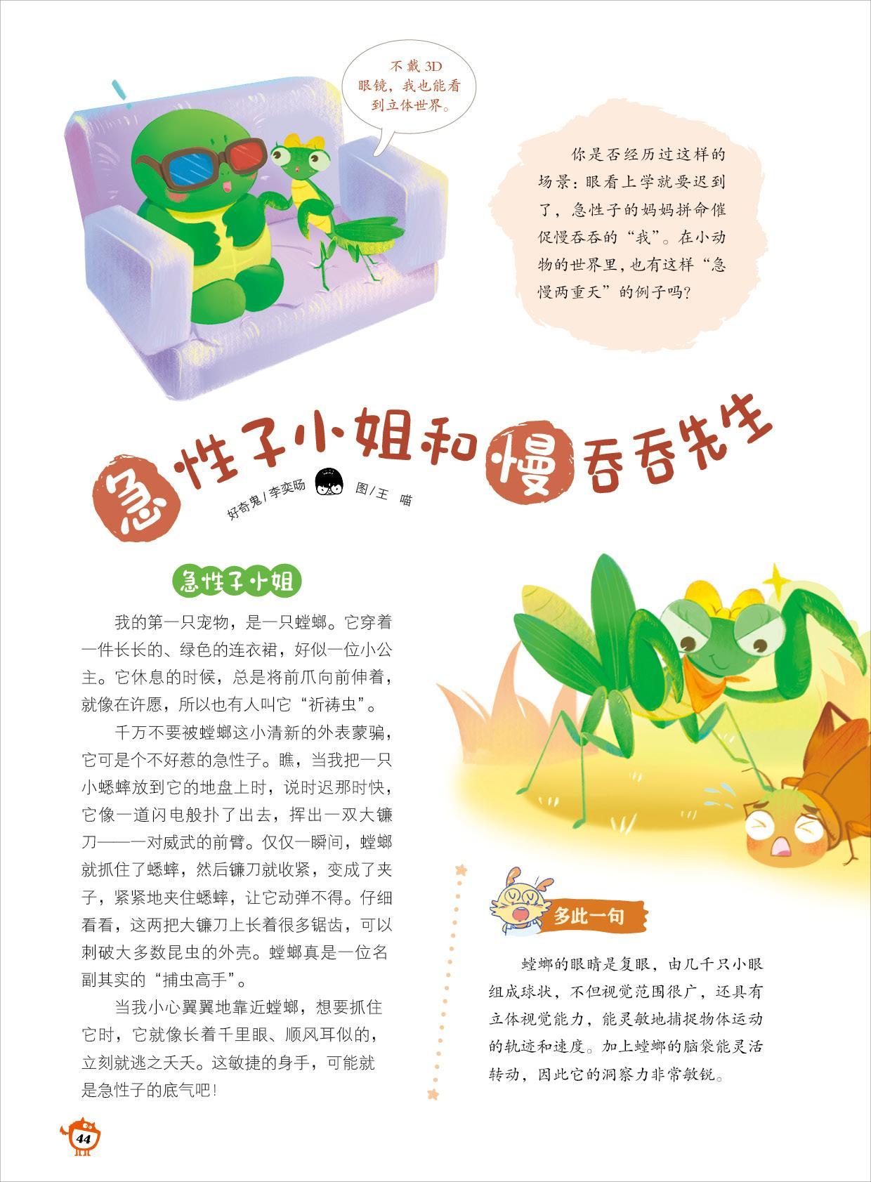 急性子小姐,慢吞吞先生,螳螂,轨迹