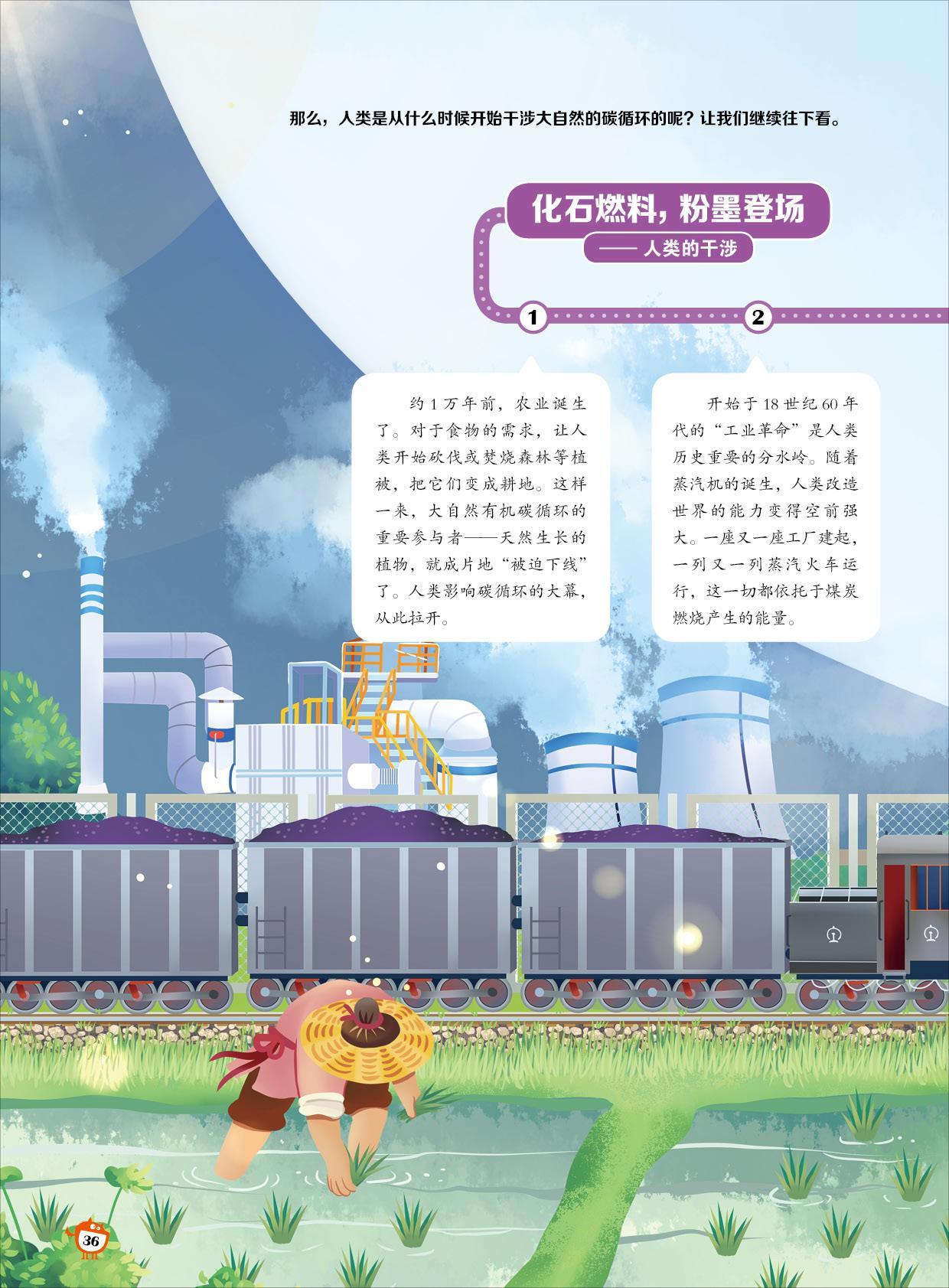 化石燃料,耕地,碳循环