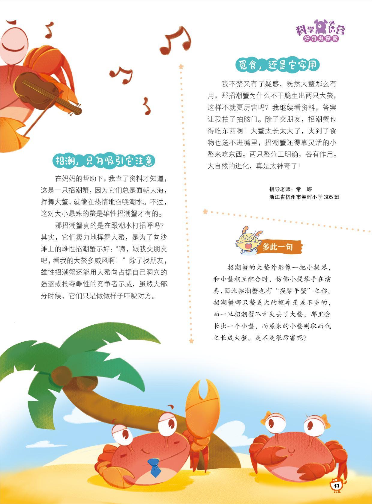 招潮蟹,交朋友,竞争者示威