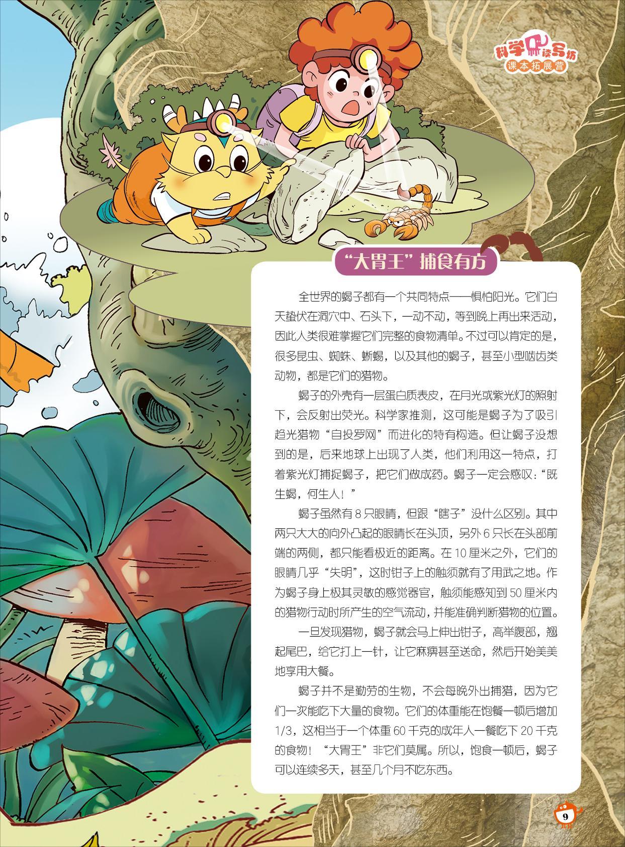 大胃王,蛋白质表皮,蝎子,猎物 大胃王,蛋白质表皮,蝎子,猎物