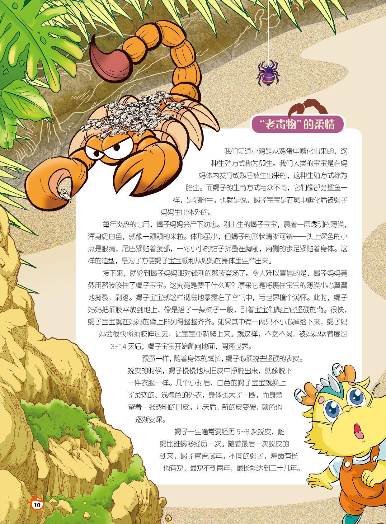 蝎子宝宝,闯荡世界,寿命 蝎子宝宝,闯荡世界,寿命
