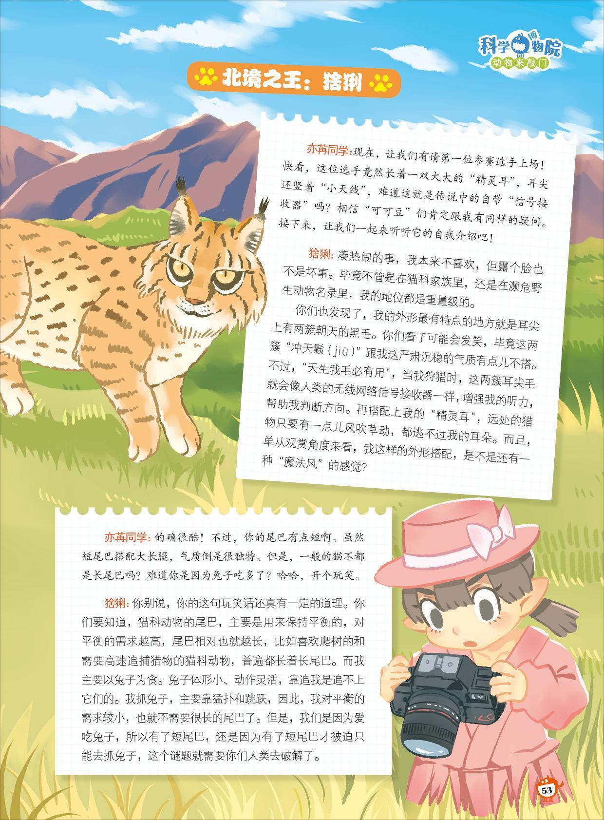 猞猁,狩猎,听力 猞猁,狩猎,听力