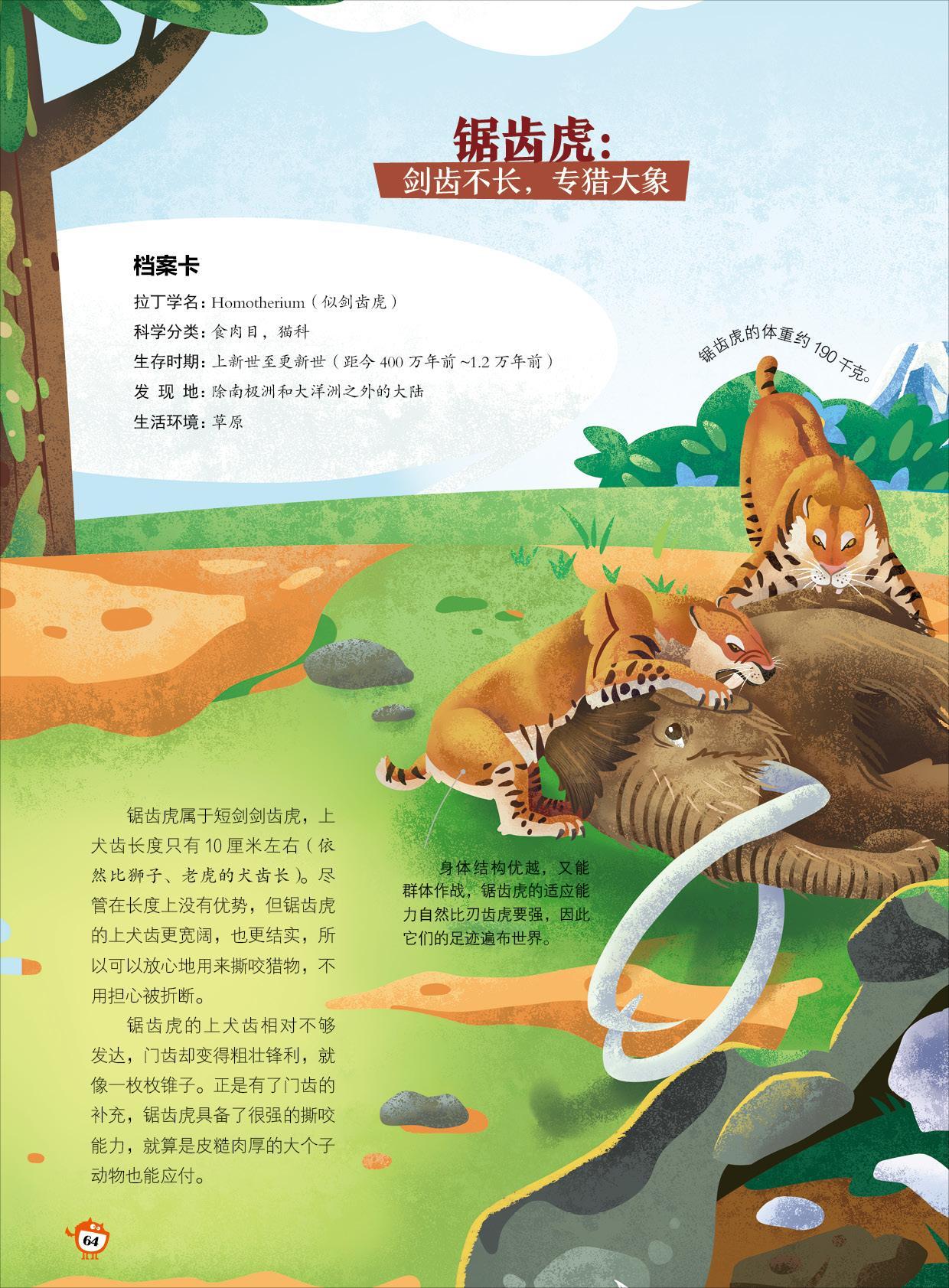 锯齿虎,优势,犬齿,身体结构