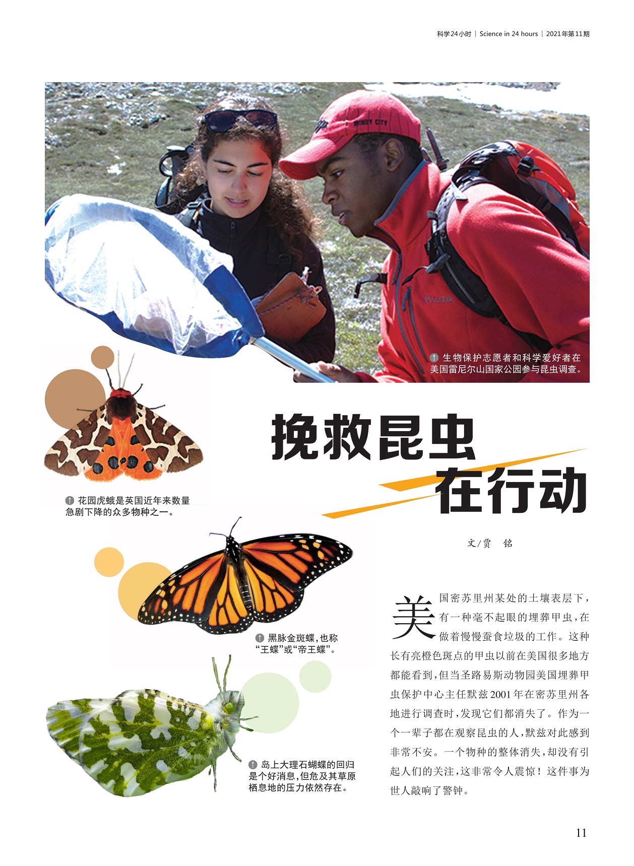 一辈子都在观察昆虫的人,一个物种的整体消失 一辈子都在观察昆虫的人,一个物种的整体消失