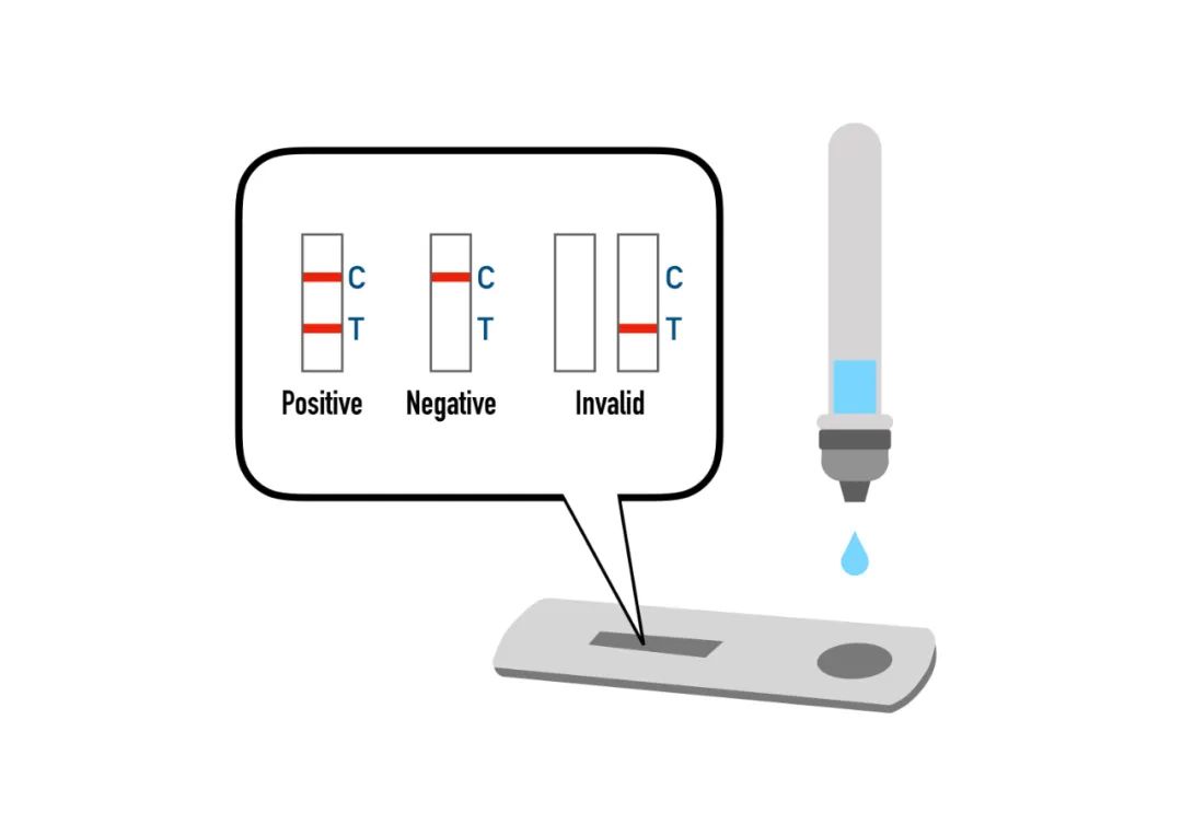 检测,样品孔,病毒,试剂盒