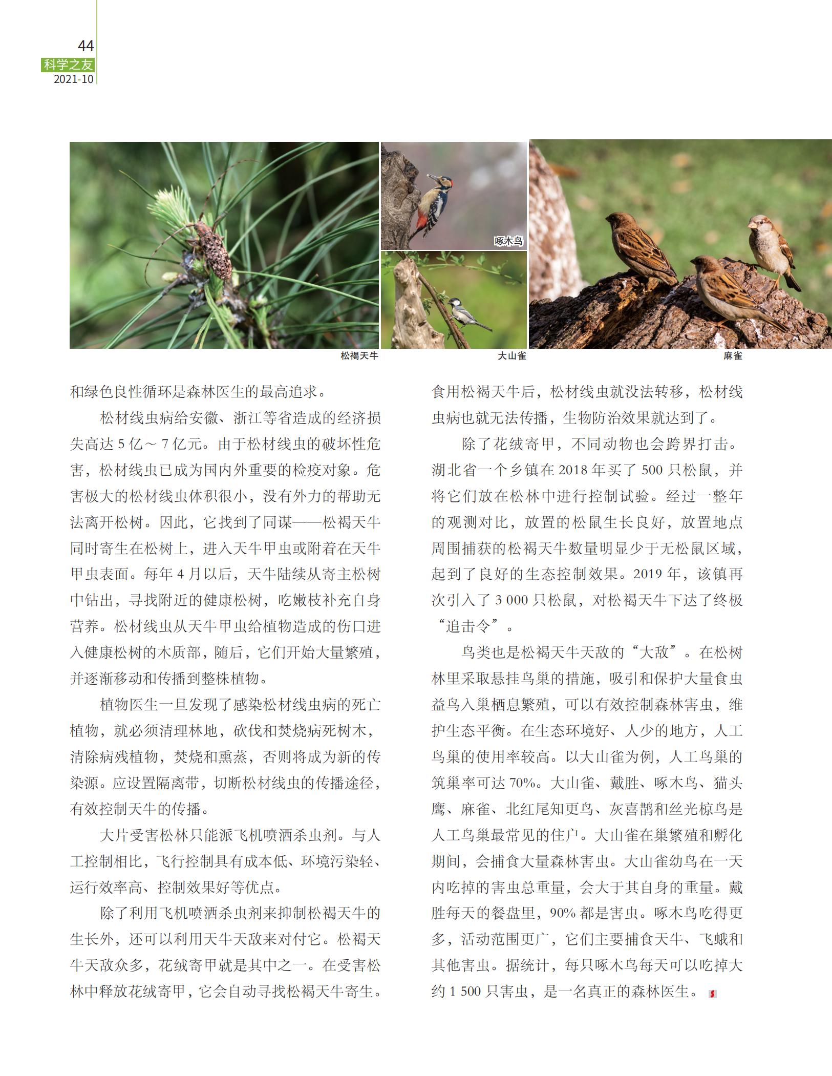 森林医生,松材线虫病,追击令