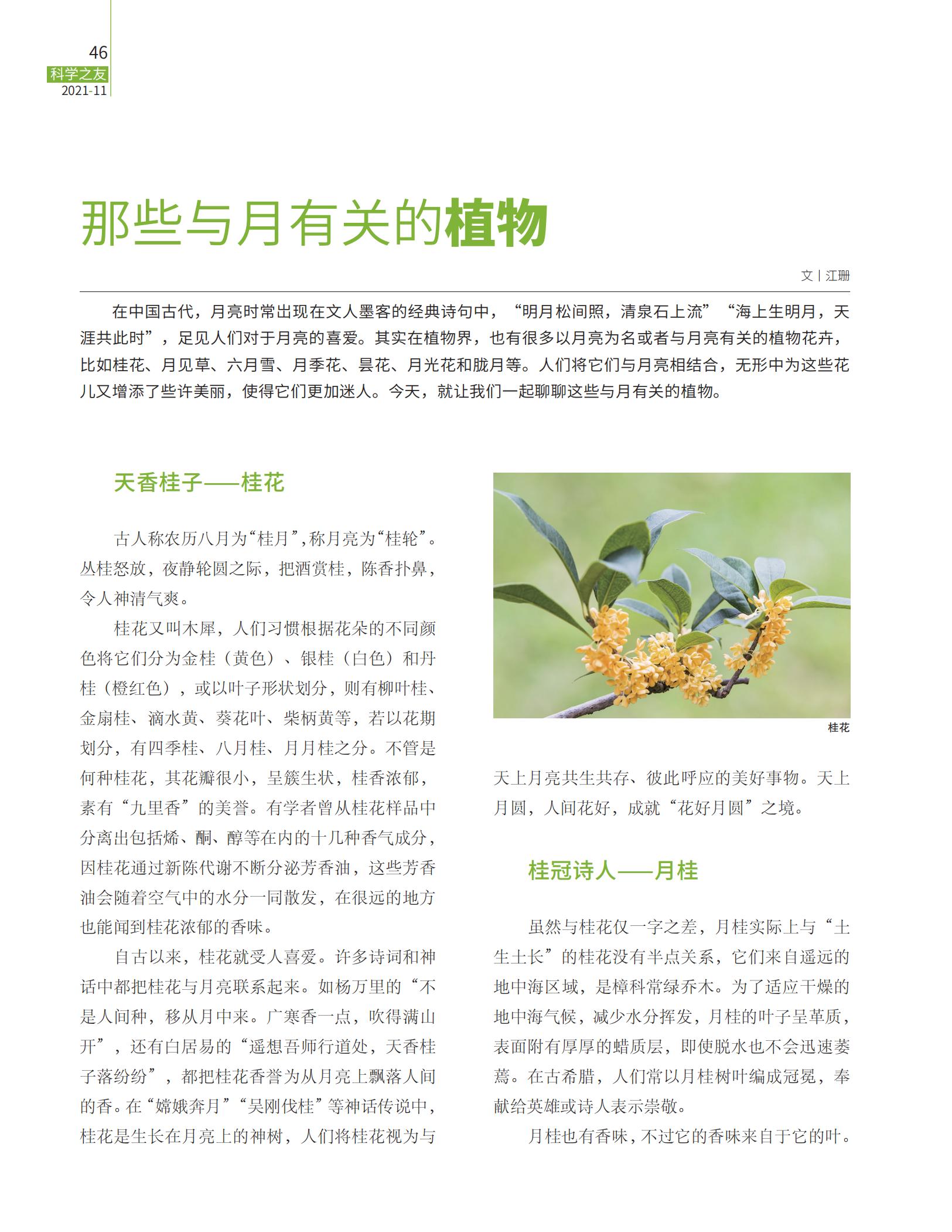 天香桂子,桂冠诗人,月亮