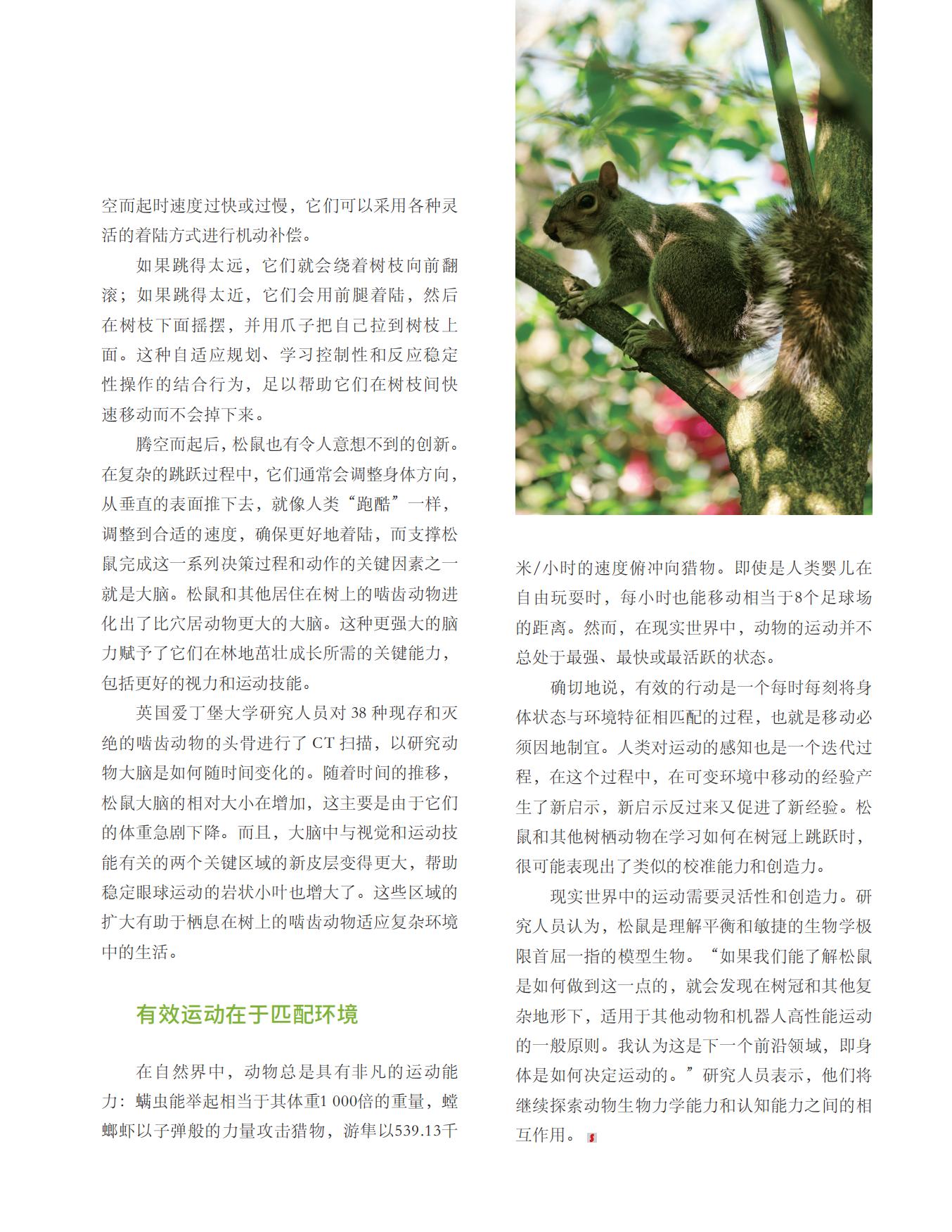 着陆方式,有效运动,匹配环境