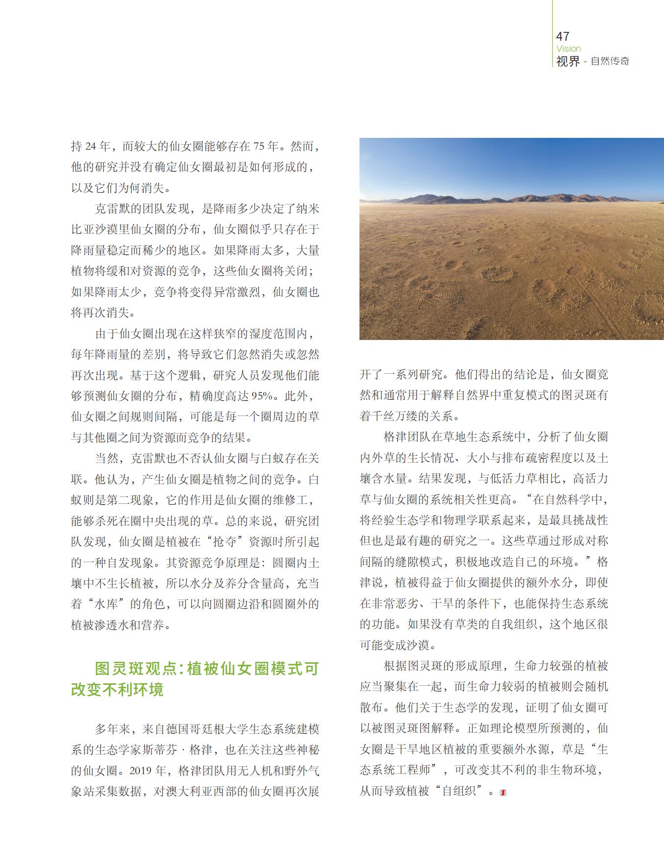 图灵斑观点,格津团队,植被