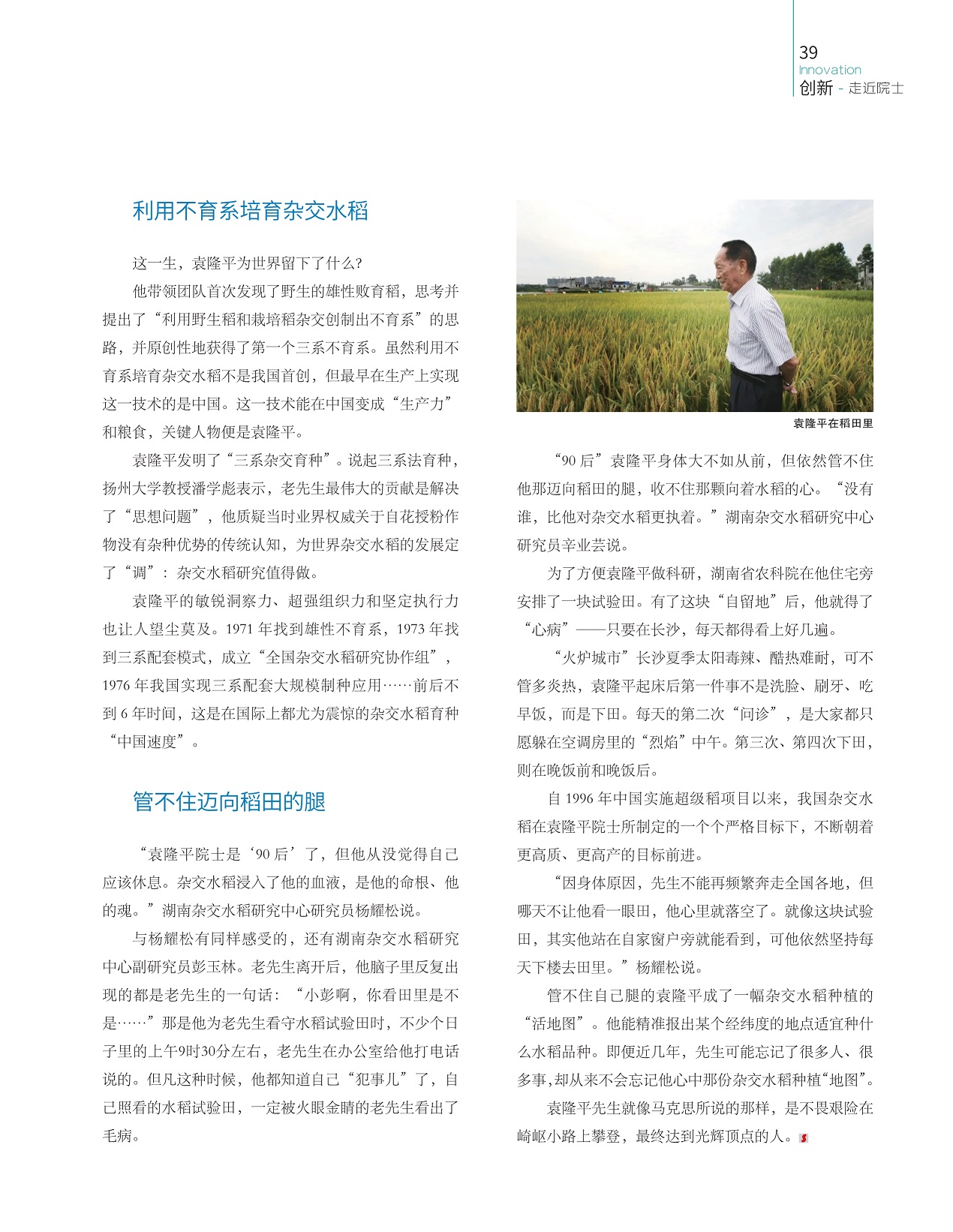 利用不育系培育杂交水稻,管不住迈向稻田的腿