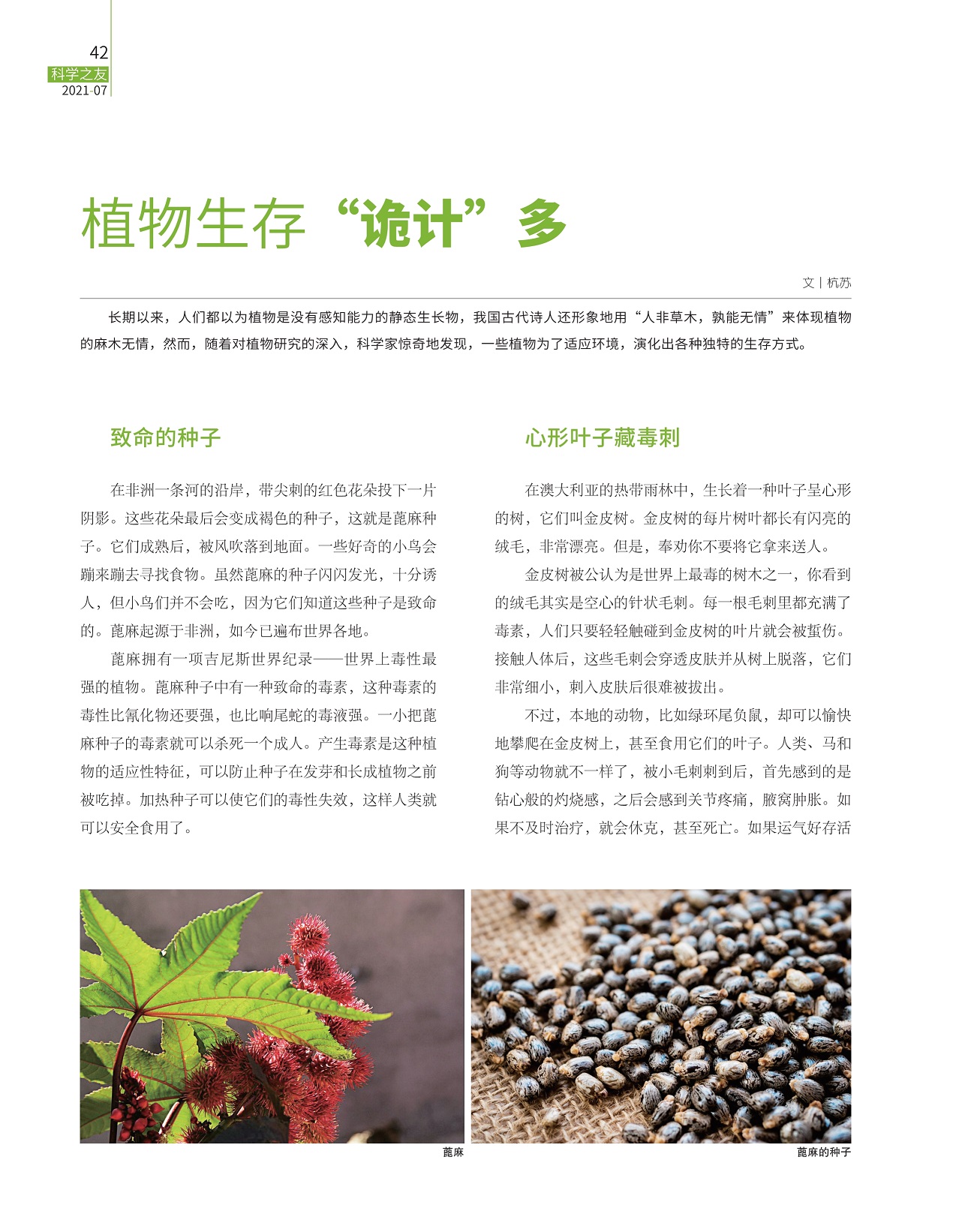 植物各种独特的生存方式,心形叶子藏毒刺