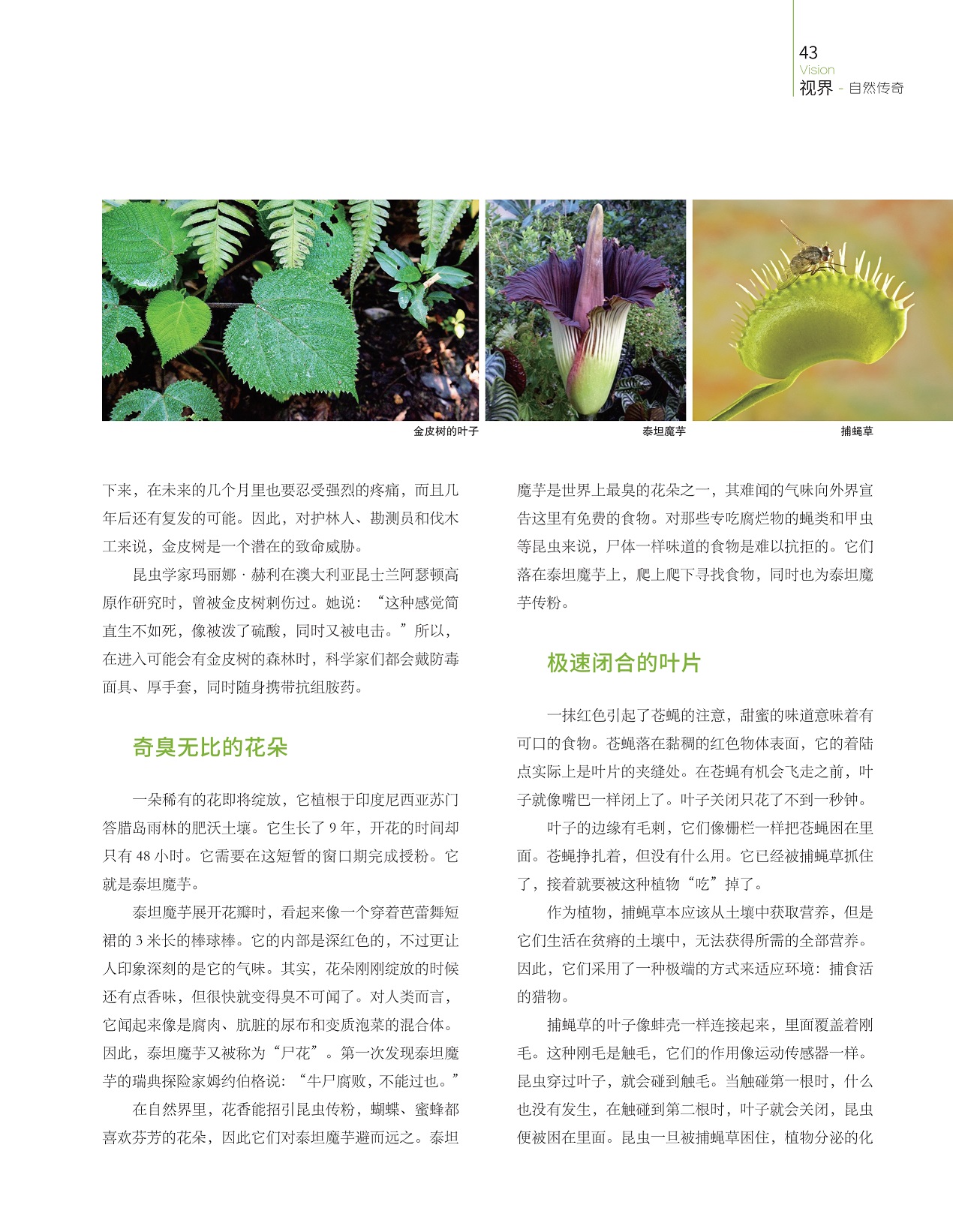 奇臭无比的花朵,极速闭合的叶片