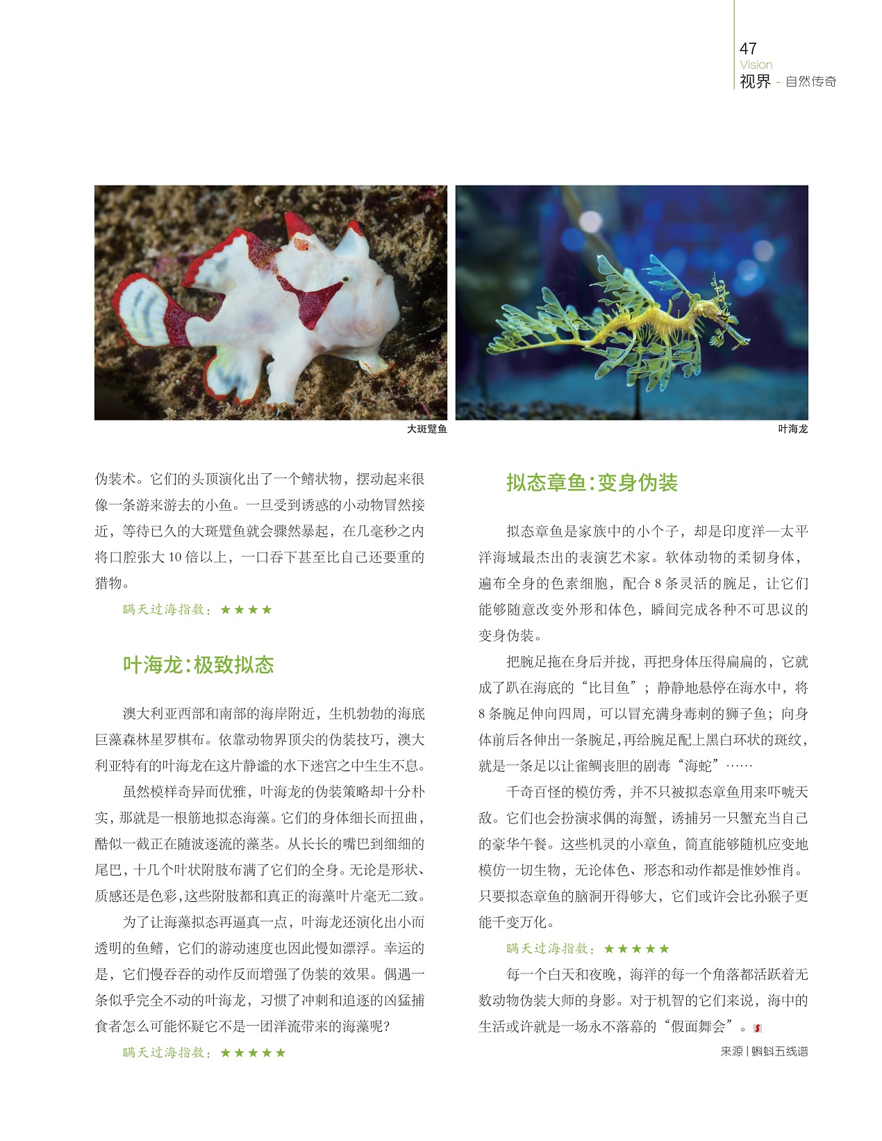 叶海龙极致拟态,拟态章鱼变身伪装