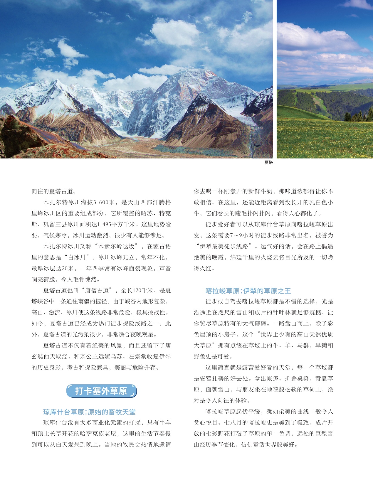 原始的畜牧天堂,伊犁的草原之王