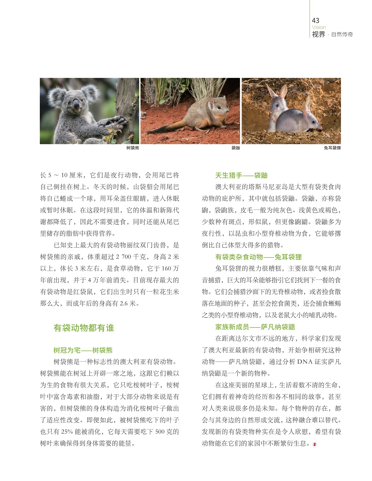 有袋动物都有谁,发现新的有袋类物种