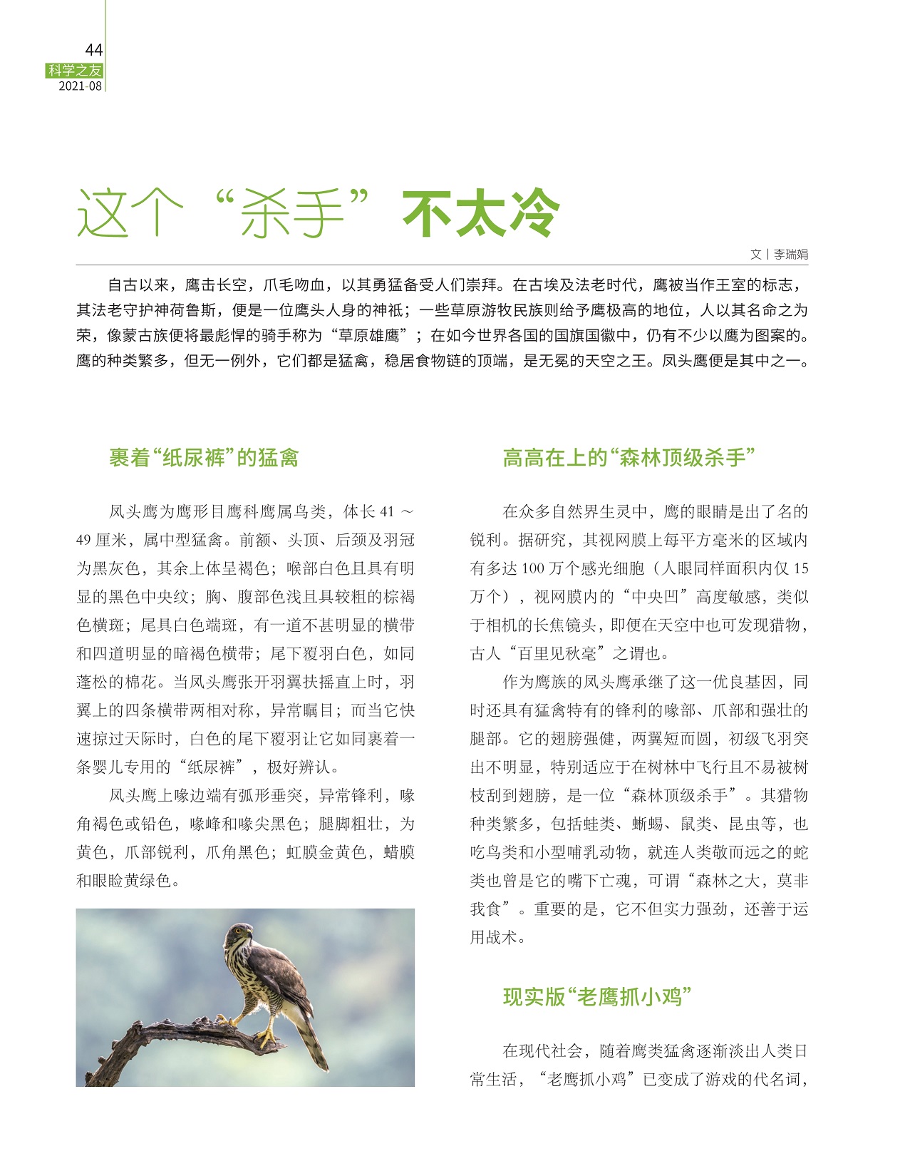 鹰被当作王室的标志,高高在上的“森林顶级杀手”