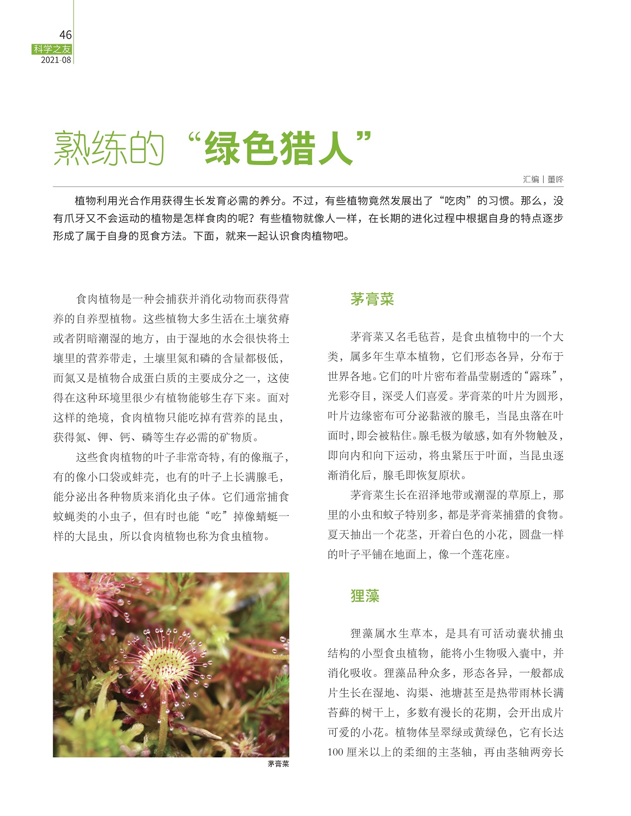 植物利用光合作用获得生长发育必需的养分,一起认识食肉植物