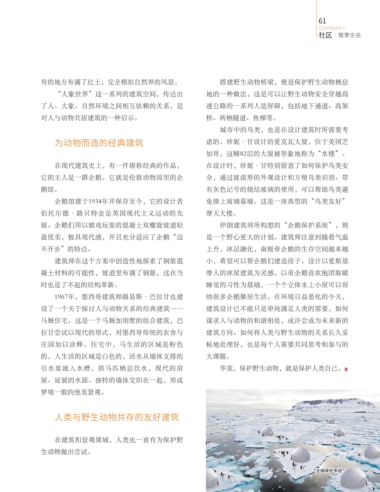 为动物而造的经典建筑,人类与野生动物共存的友好建筑