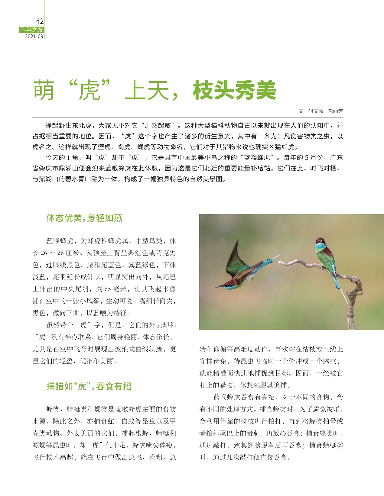 体态优美身轻如燕,捕猎如“虎”吞食有招