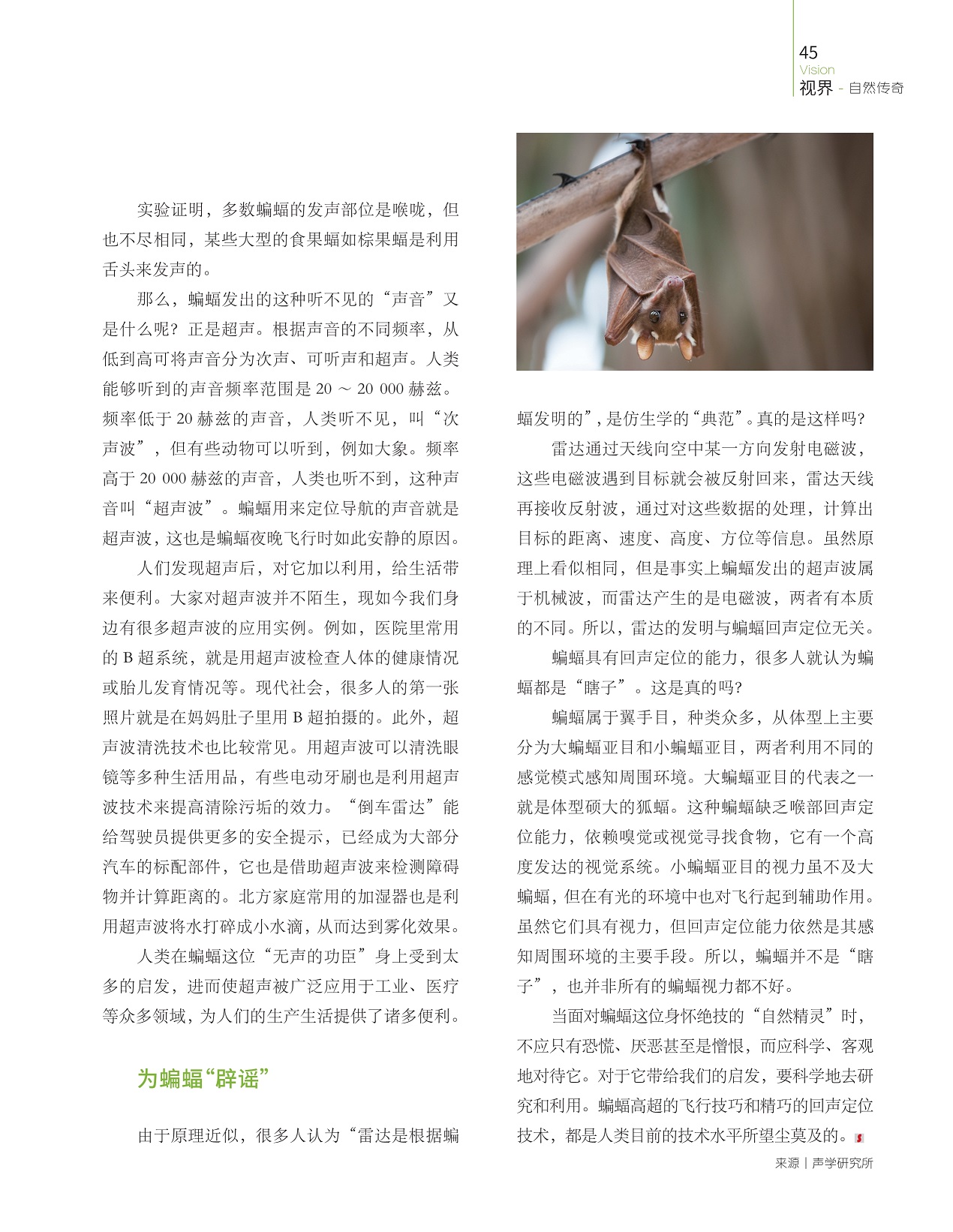 多数蝙蝠的发声部位是喉咙,蝙蝠高超的飞行技巧和精巧的回声定位技术