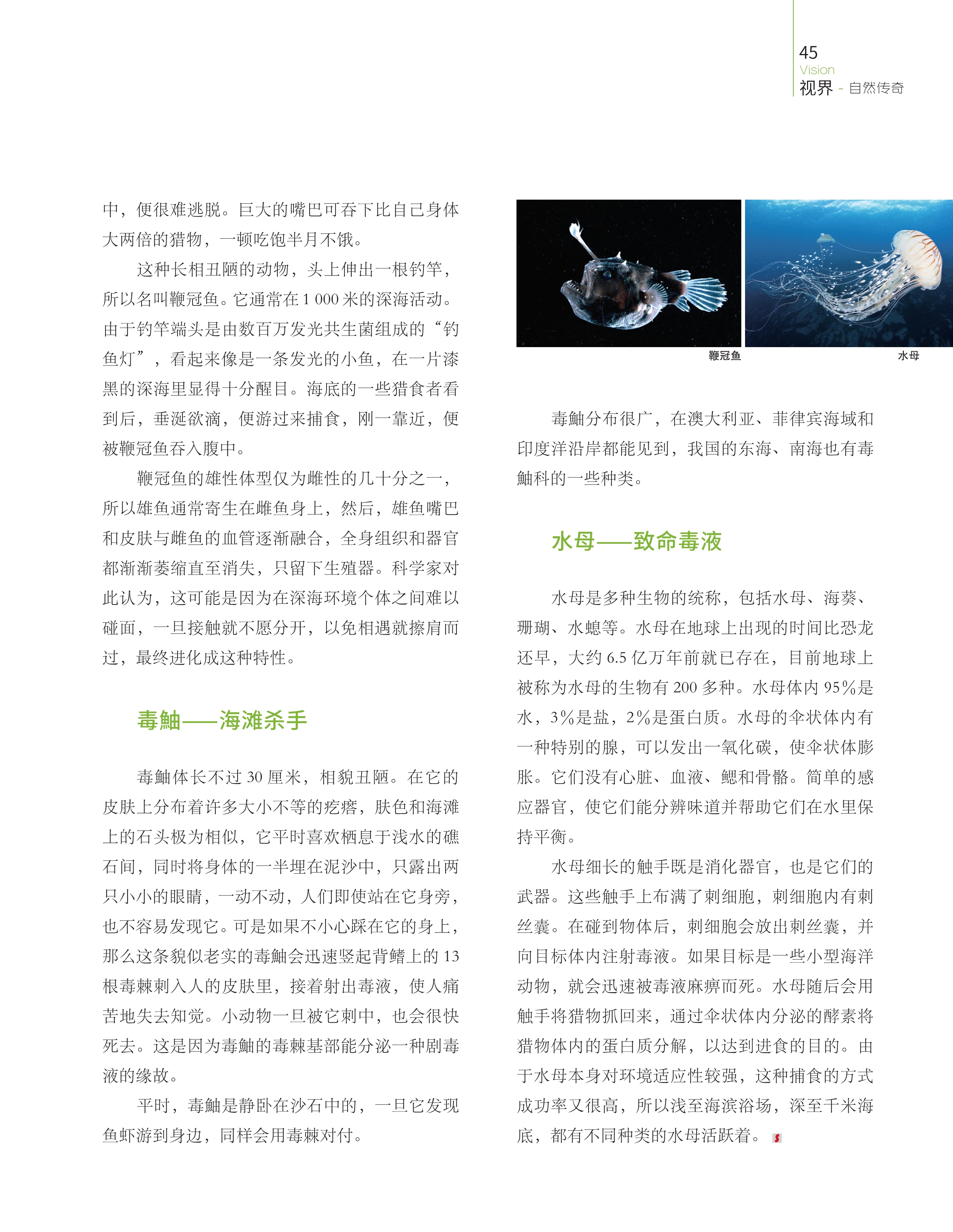 鞭冠鱼的雄性体型仅为雌性的几十分之一,水母是多种生物的统称 鞭冠鱼的雄性体型仅为雌性的几十分之一,水母是多种生物的统称