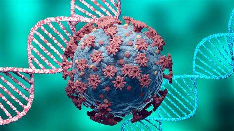 核算疫苗,疫苗研究,保护阈值