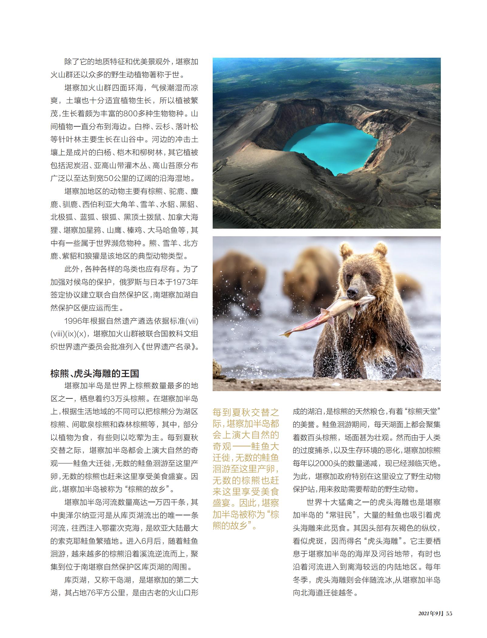 棕熊,虎头海雕,鲑鱼大迁徙