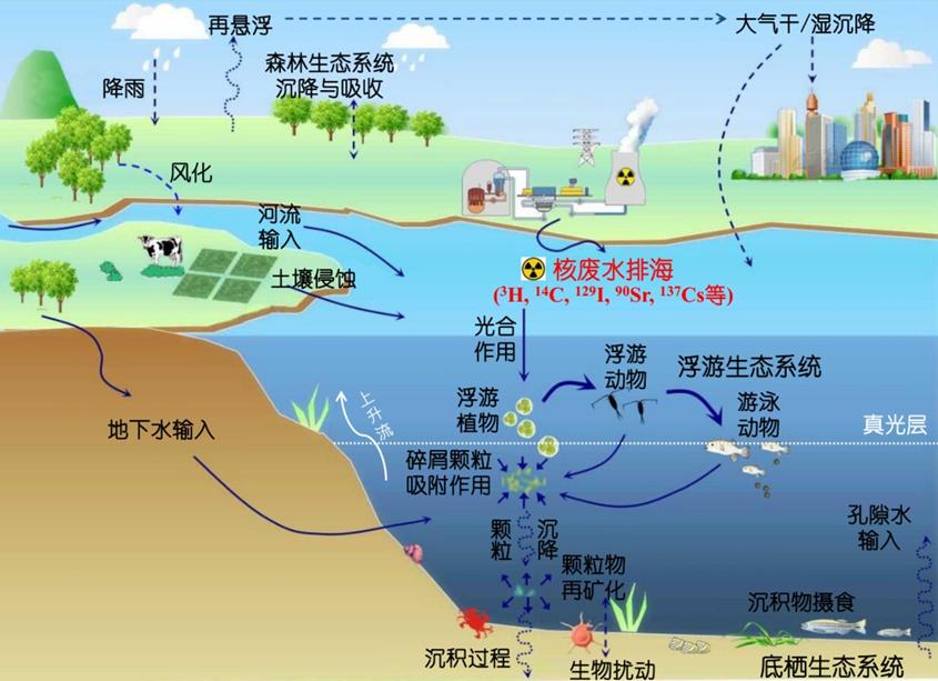 核安全,海洋排放,辐射风险,影响