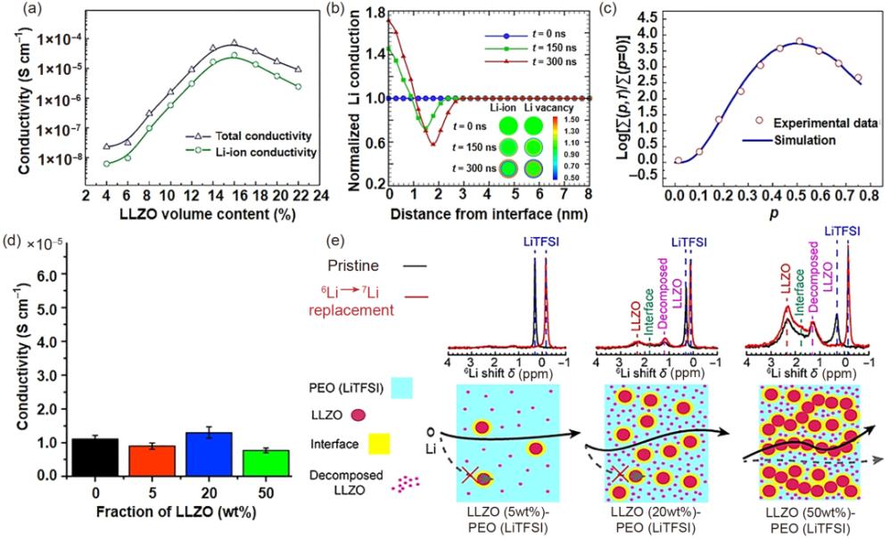 无机,纳米颗粒,聚合物,电解质