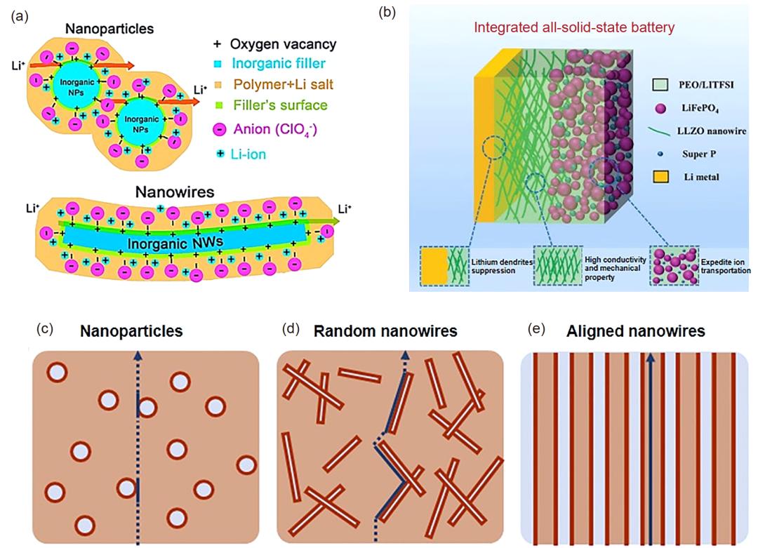 固体,电解质,锂离子,传输行为