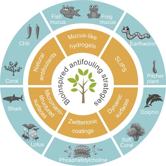 防污策略,海洋,环境