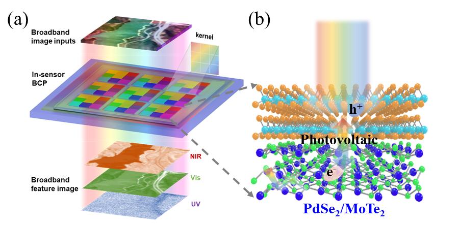 光探测,耦合特性,光功率,正负光响应