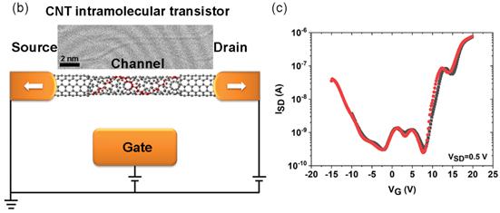 电子衍射图谱,波动行为,相干运输