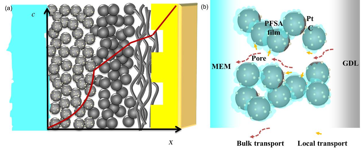 氧气,催化层,传质阻力