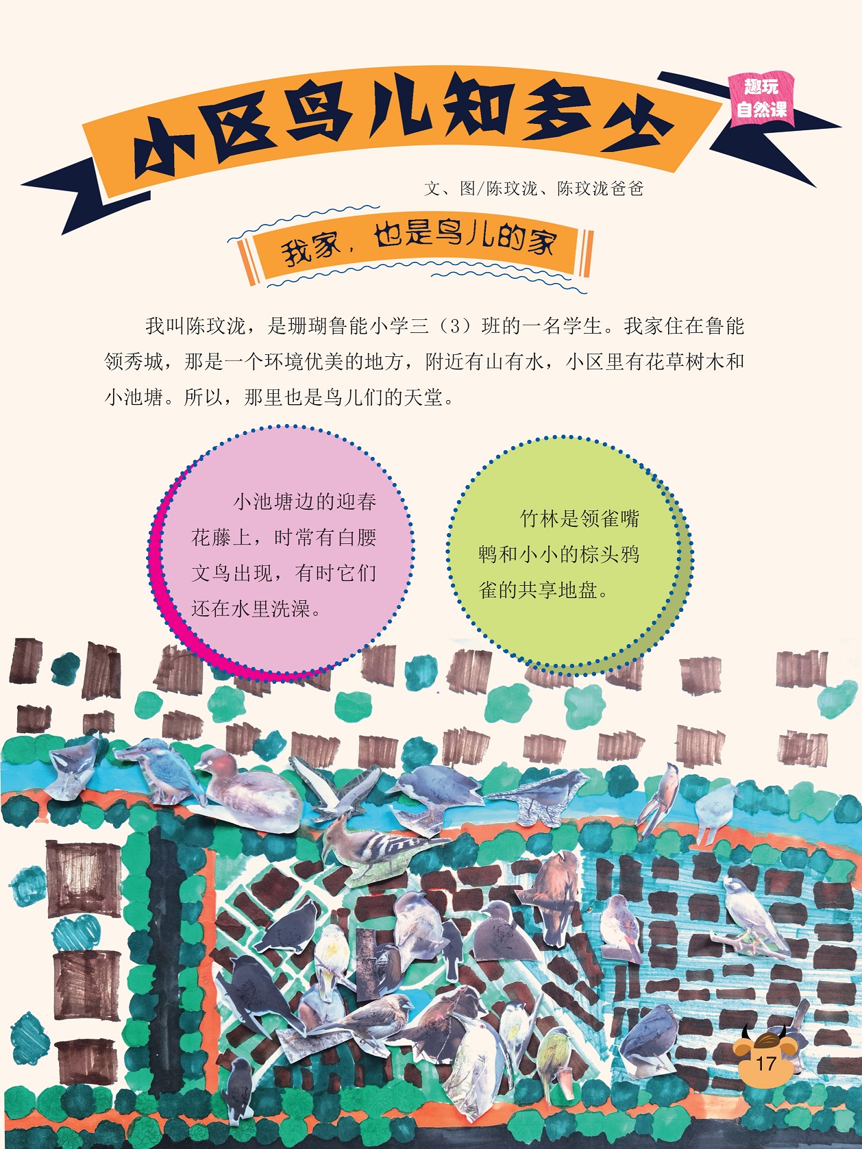 鸟儿们的天堂,竹林是领雀嘴鹎和小小的棕头鸦雀的共享地盘