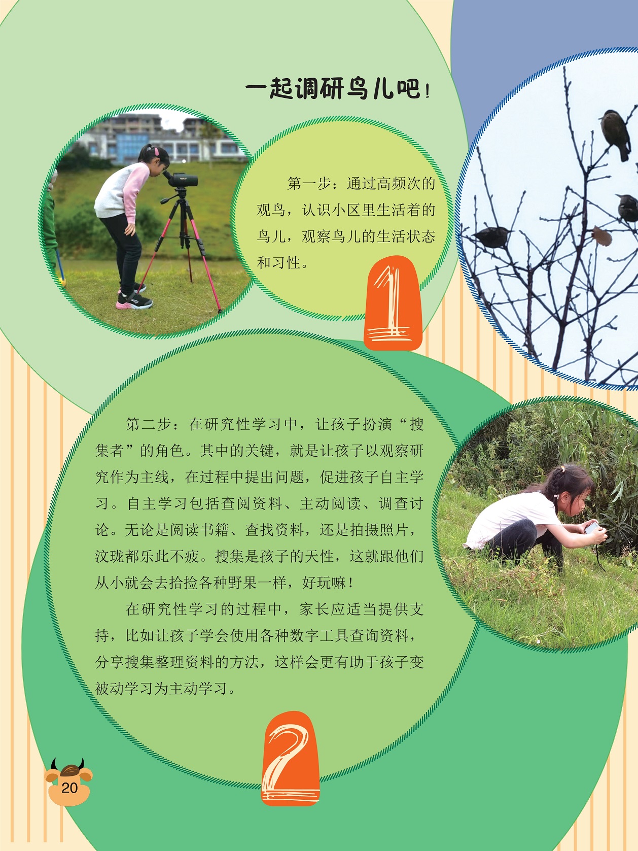 一起调研鸟儿吧,数字工具查询资料