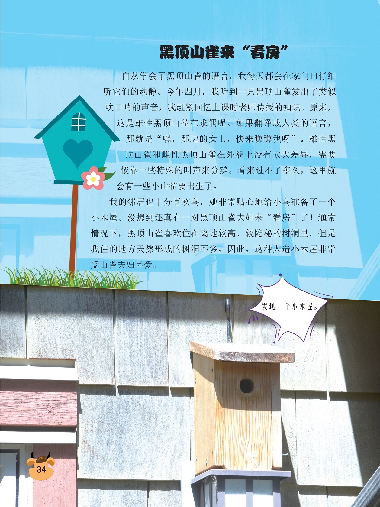 黑顶山雀来“看房”,依靠一些特殊的叫声来分辨