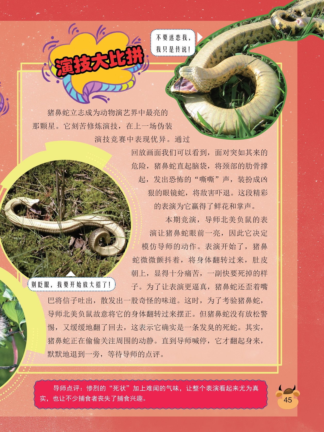 散发出一股奇怪的味道,惨烈的“死状”加上难闻的气味