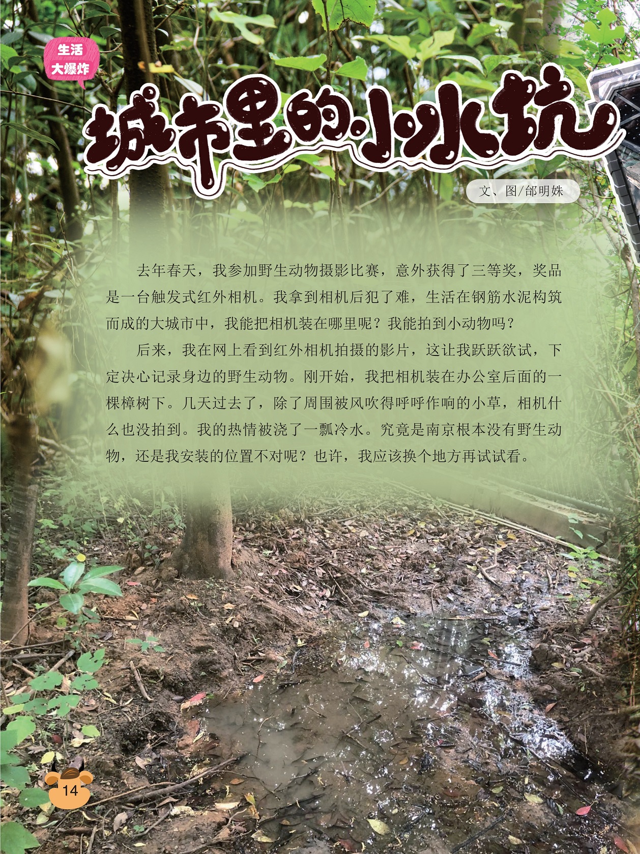 红外相机拍摄的影片,记录身边的野生动物 红外相机拍摄的影片,记录身边的野生动物