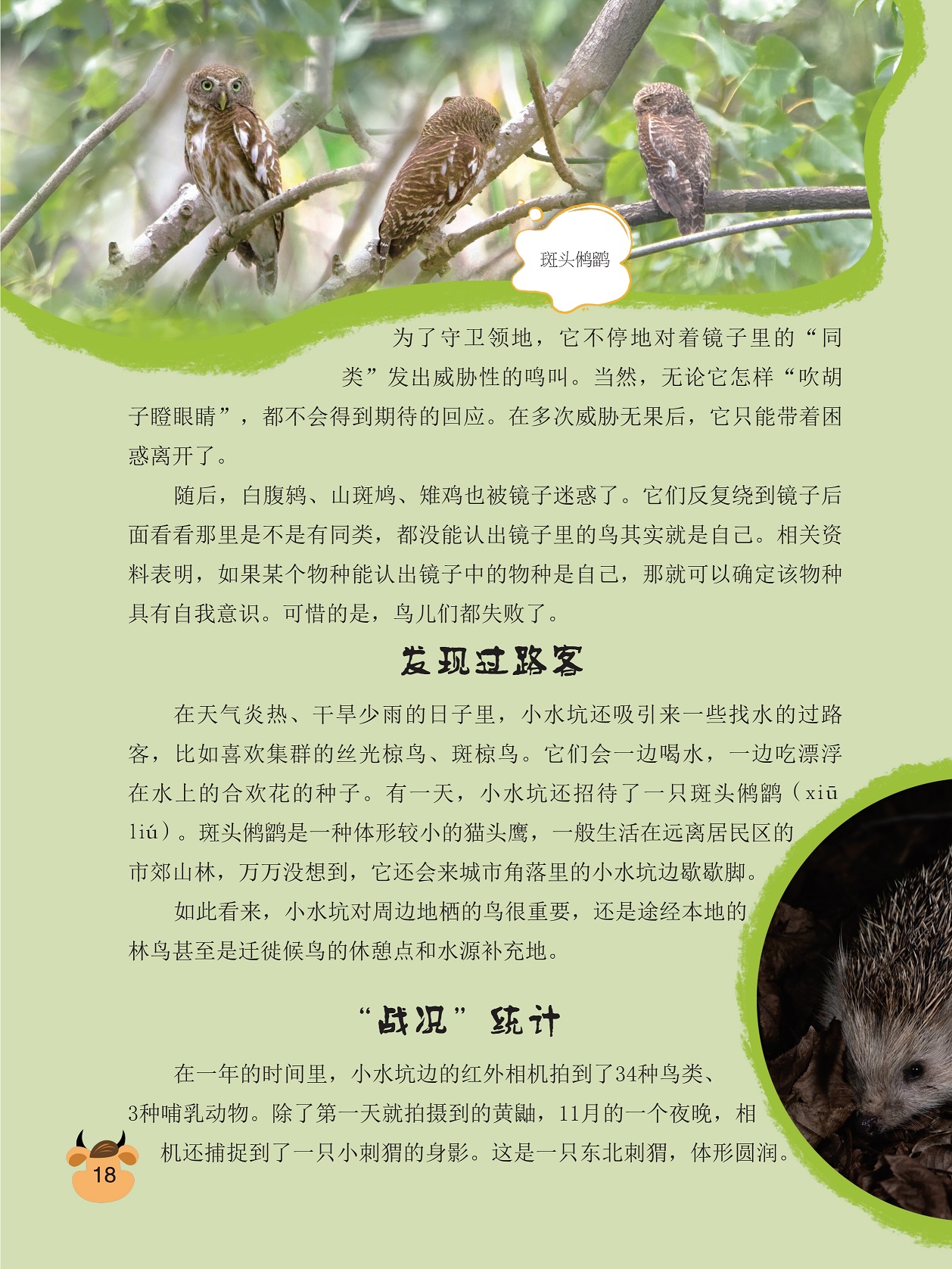 认出镜子中的物种,具有自我意识 认出镜子中的物种,具有自我意识