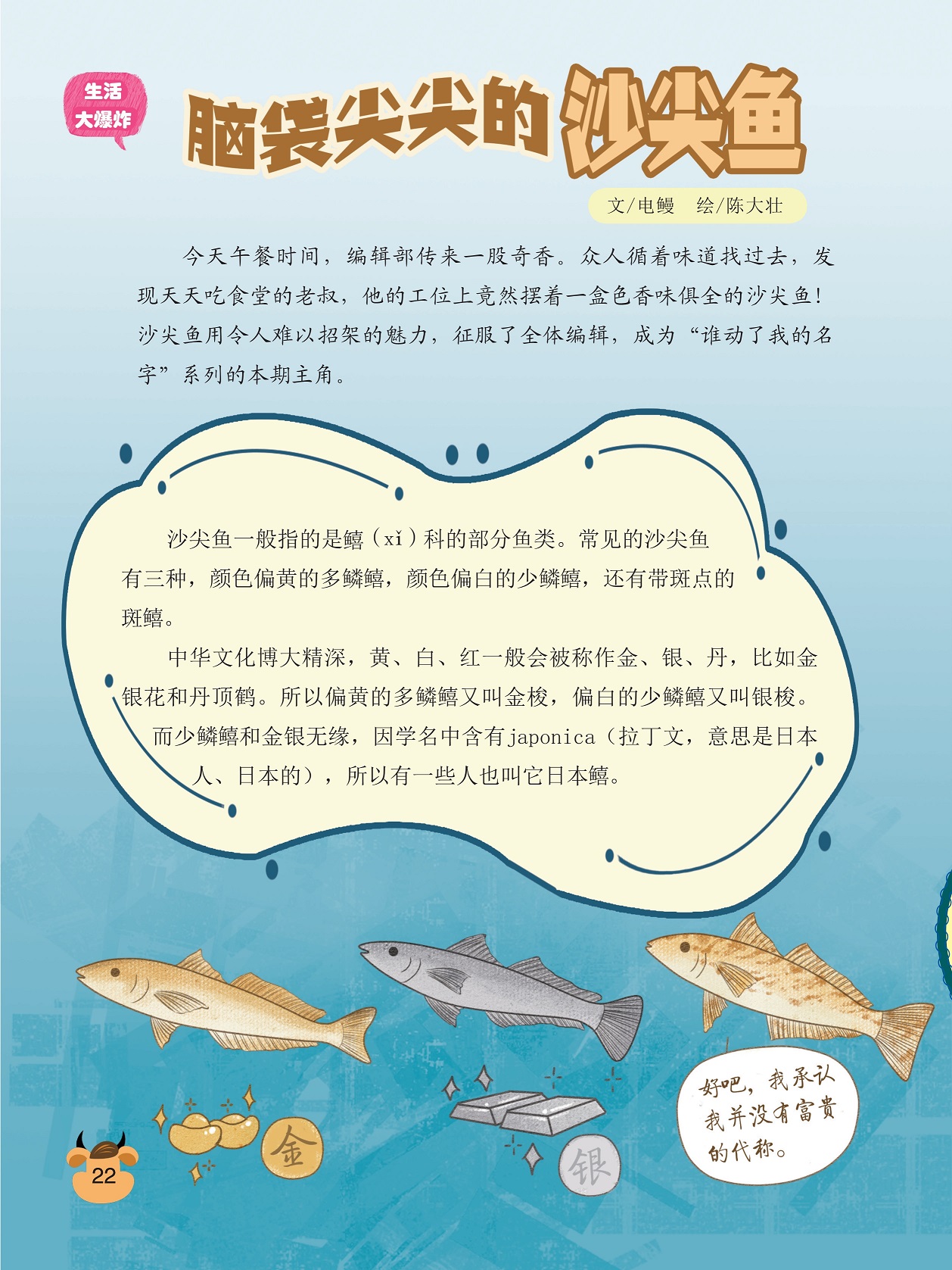 常见的沙尖鱼有三种,偏黄的多鳞又叫金梭