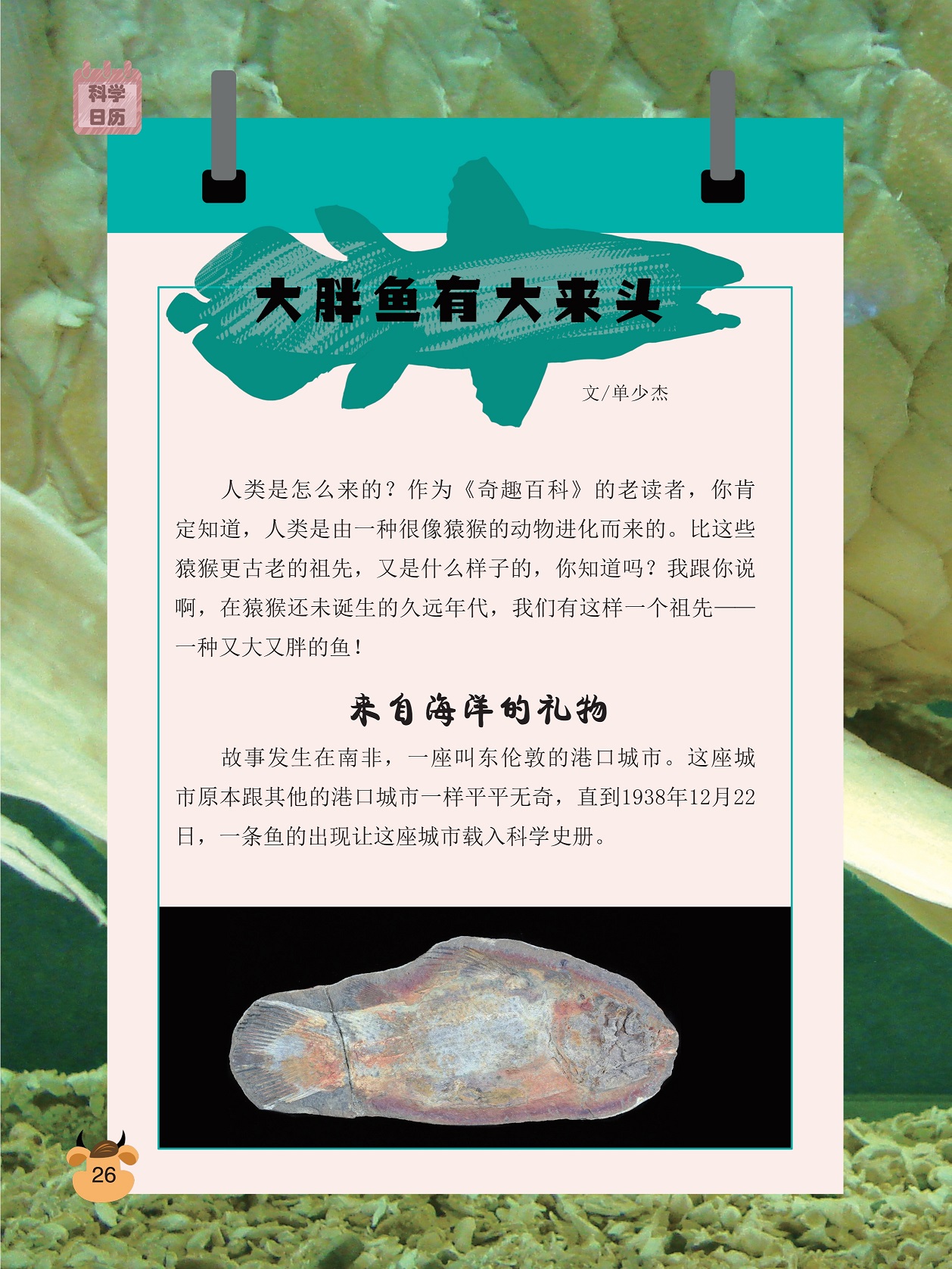 港口城市东伦敦,一条鱼的出现让东伦敦载入科学史册