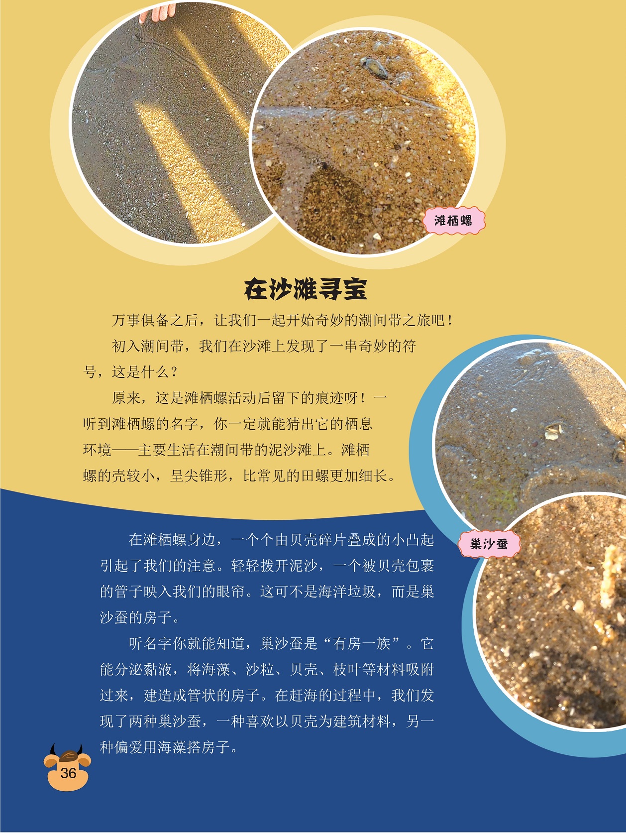 在沙滩寻宝,滩栖螺活动后留下的痕迹