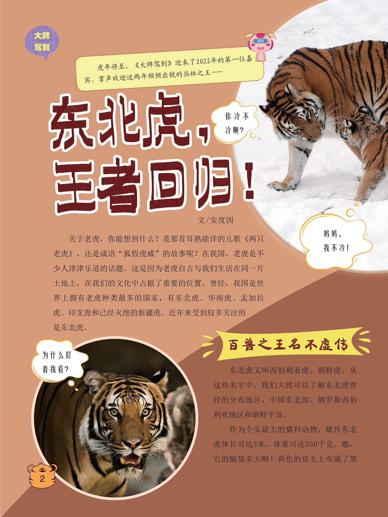 老虎自古与我们生活在同一片土地,拥有老虎种类最多的国家