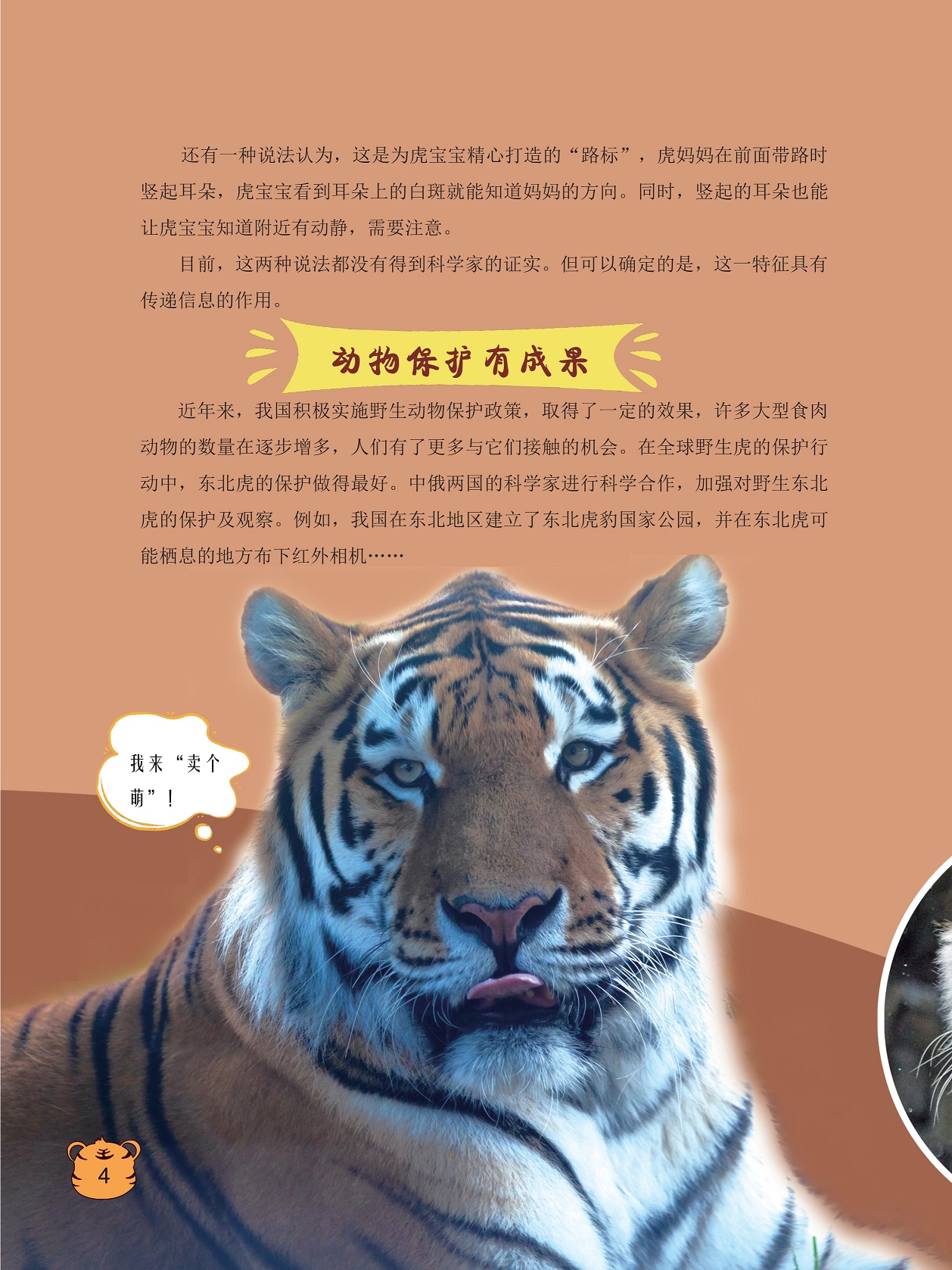 动物保护有成果,我国积极实施野生动物保护政策