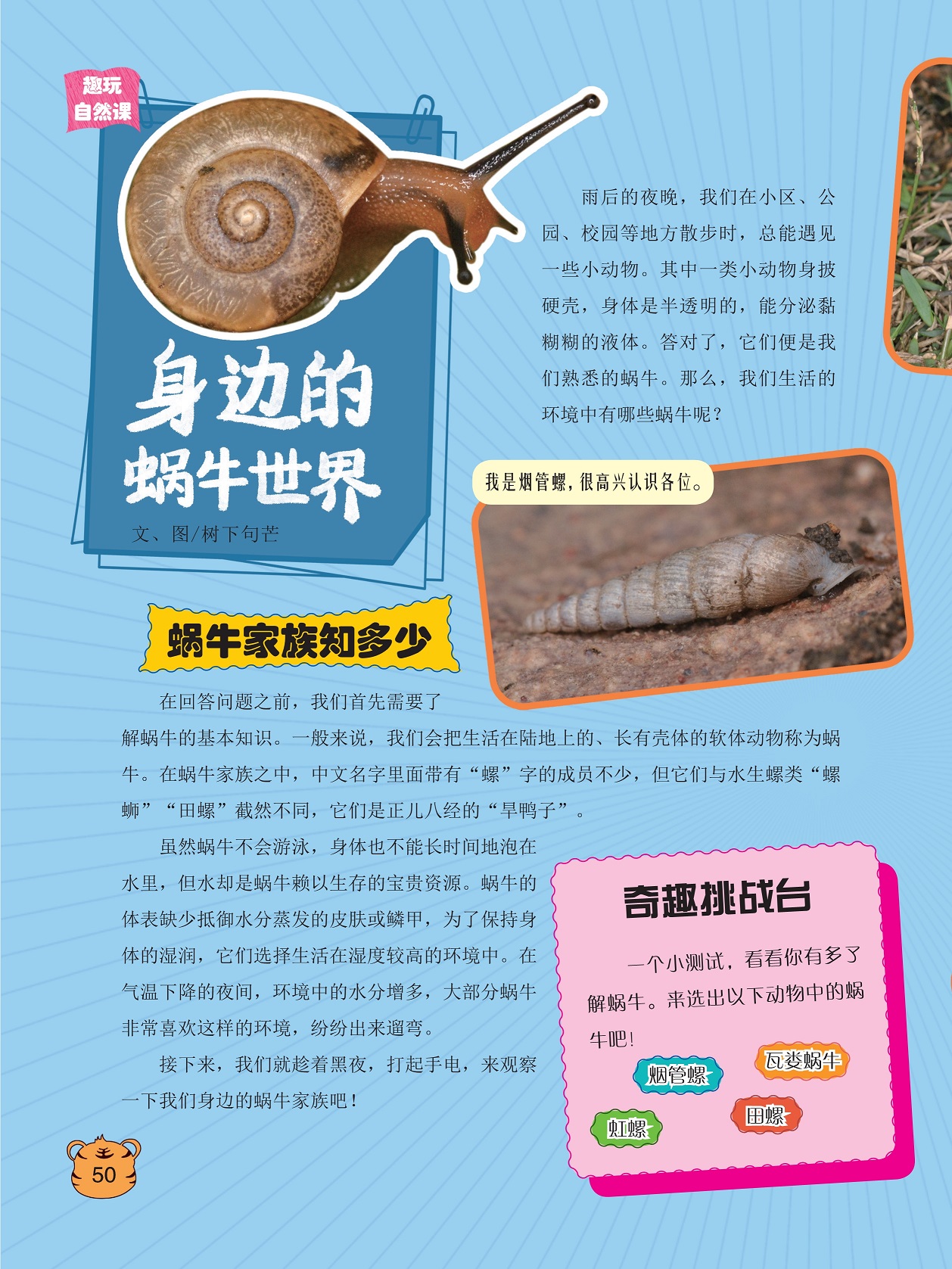 蜗牛能分泌黏糊糊的液体,蜗牛家族知多少